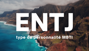ENTJ MBTI type de personnalité en français description