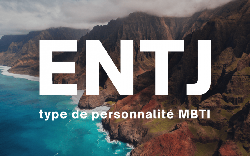 ENTJ MBTI type de personnalité en français description