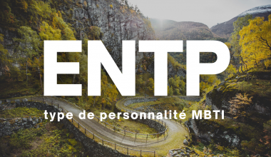ENTP MBTI type de personnalité en français description 16 types