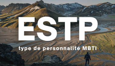 ESTP MBTI type de personnalité en français description 16 types