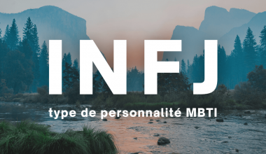 INFJ MBTI type de personnalité en français description 16 types