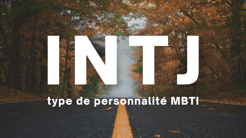 INTJ MBTI type de personnalité en français description 16 types