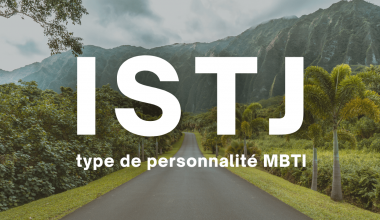 ISTJ MBTI type de personnalité en français description 16 types